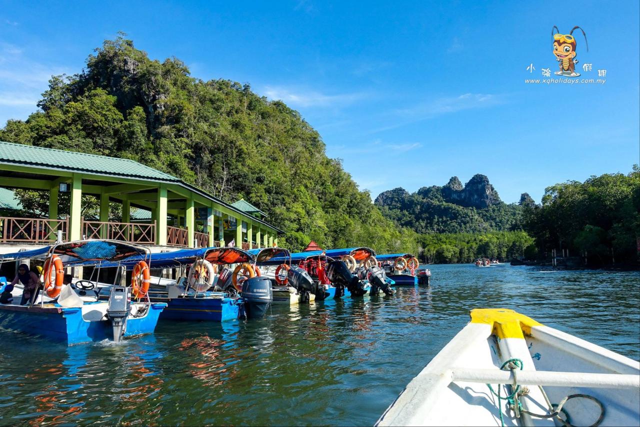 Jelajahi Keindahan Mangrove Tour Langkawi